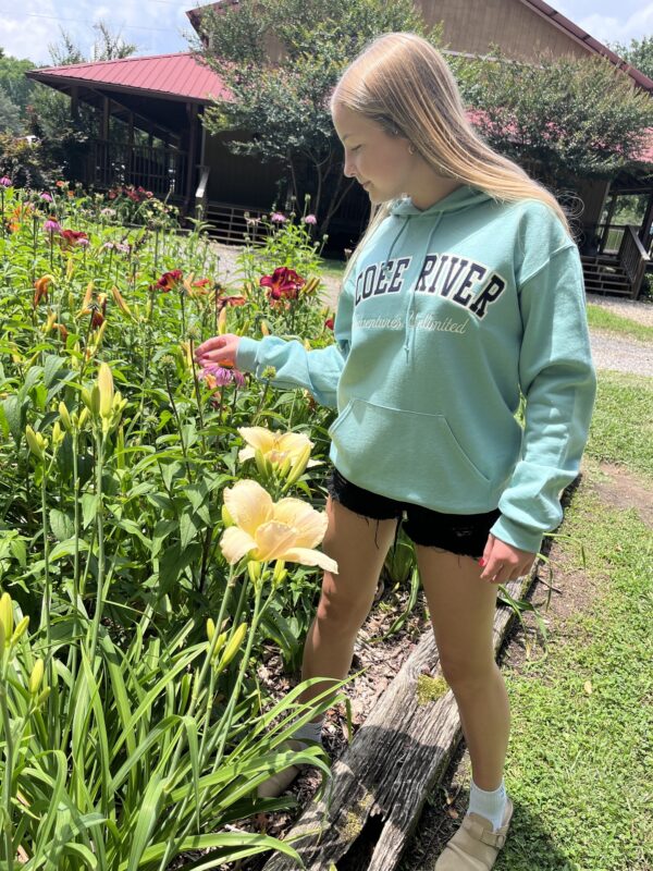 Embroidered Zig Zag Hoodie