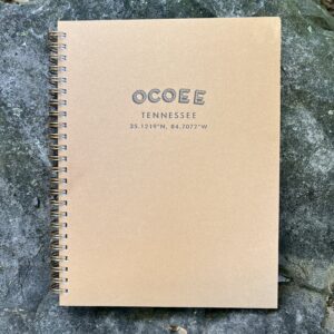 Custom Lined Journals