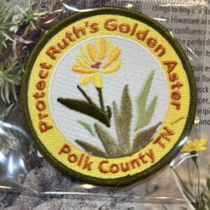 Ruth's Golden Aster