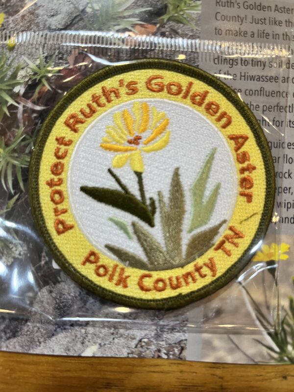 Ruth's Golden Aster